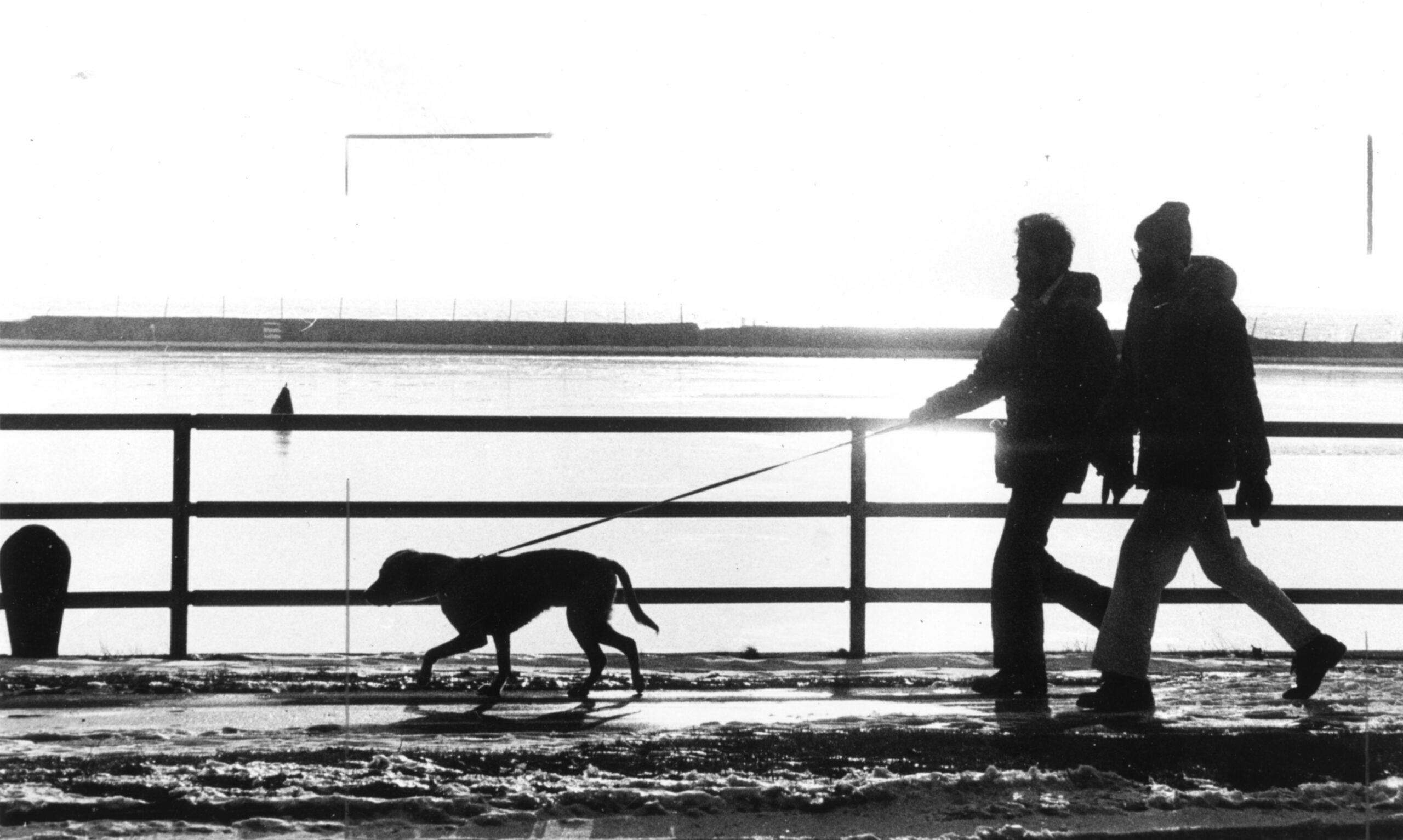Photo: Dog walkers in the former LaSalle Park, February 15, 1983. Collection of The Buffalo History Museum. General photograph collection, Parks - Buffalo and Erie County - Ralph C. Wilson Centennial Park.